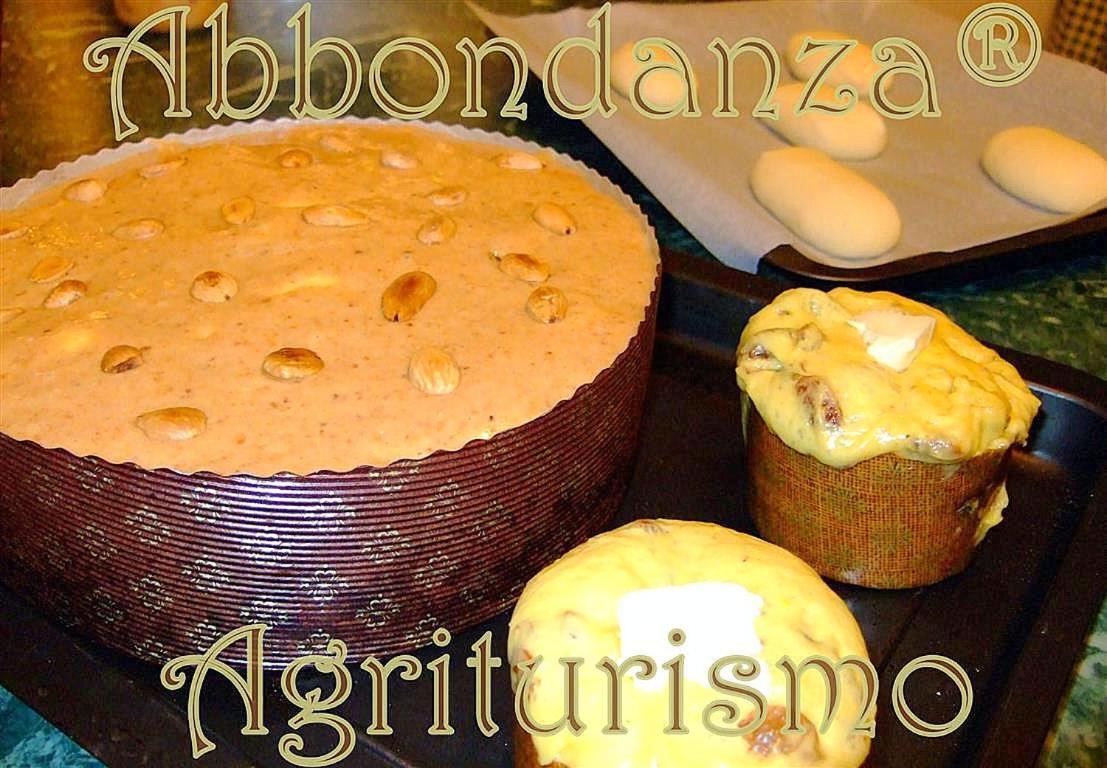 Willa Agriturismo Abbondanza Alberobello Zewnętrze zdjęcie