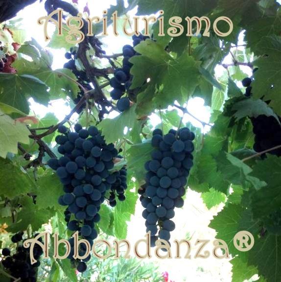 Willa Agriturismo Abbondanza Alberobello Zewnętrze zdjęcie